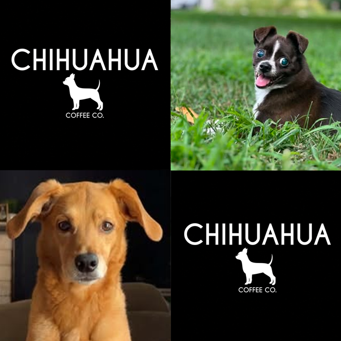 Meet Our Dogs of the Month — August 2026